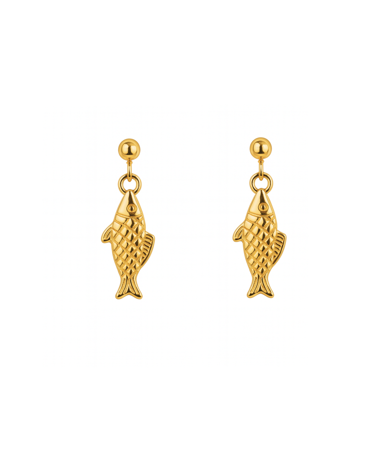 Sardine Gold