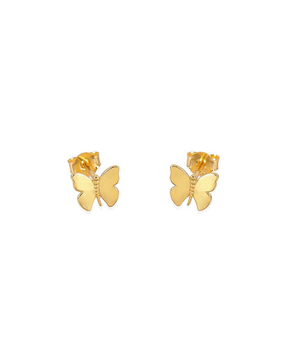 Papillon gold