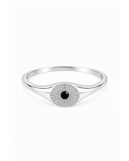 Black Sunburst Silber