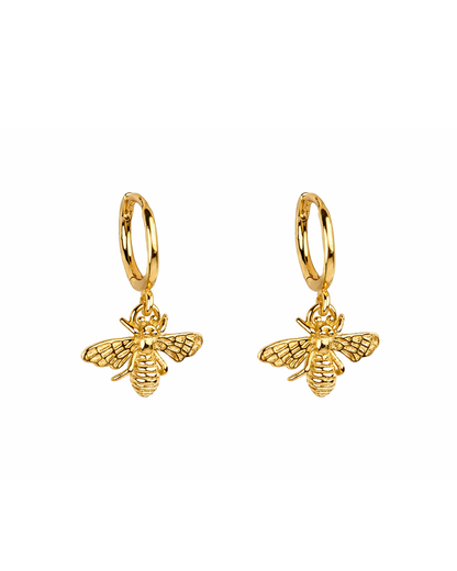 Fly gold