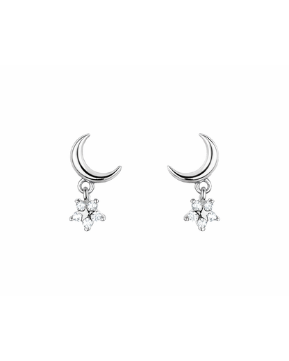 Nocturnal silver
