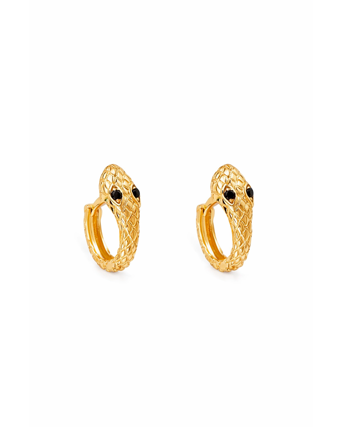 Ophidia gold hoops