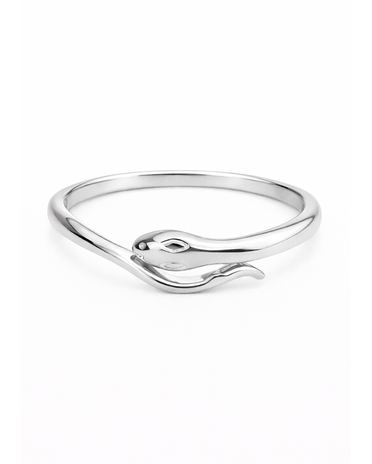Snake Silber