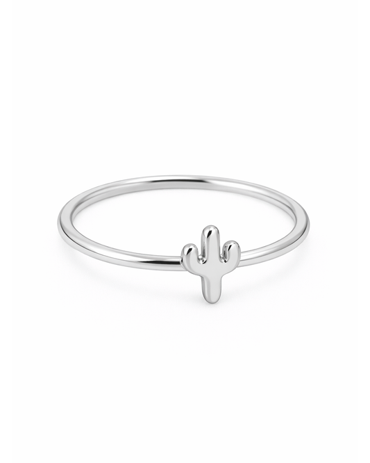 Tiny cactus silber